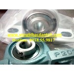 GỐI ĐỠ-VÒNG BI INOX SS304